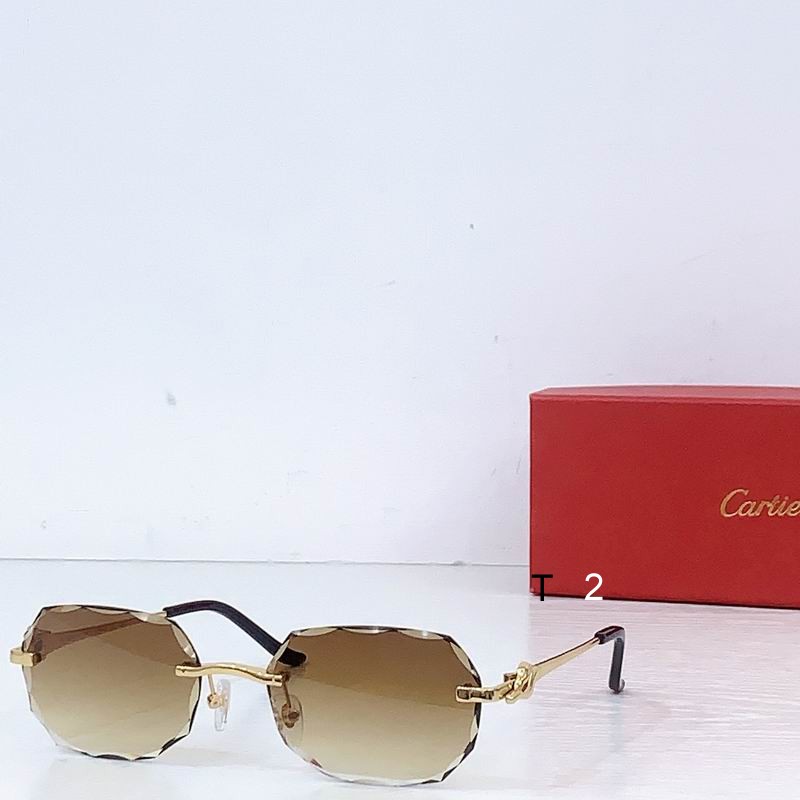 Cartier CT0679S 135 b04