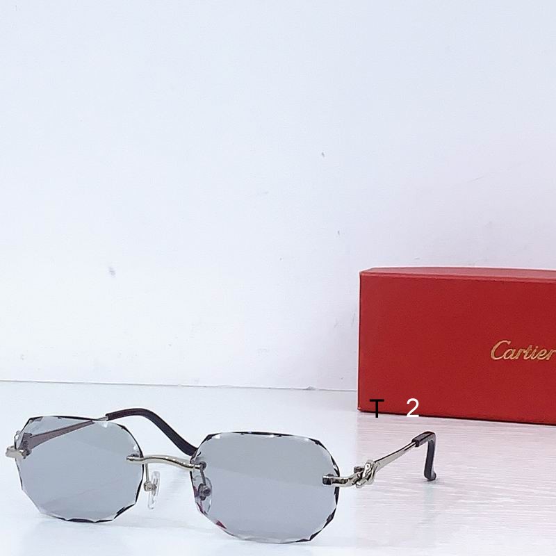 Cartier CT0679S 135 b05