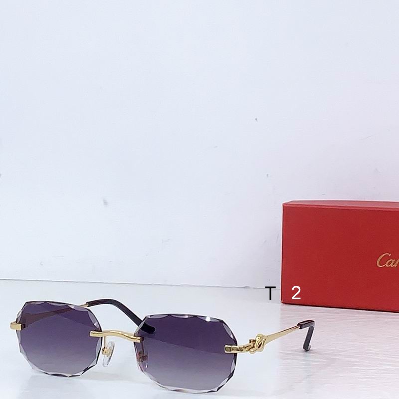 Cartier CT0679S 135 b06