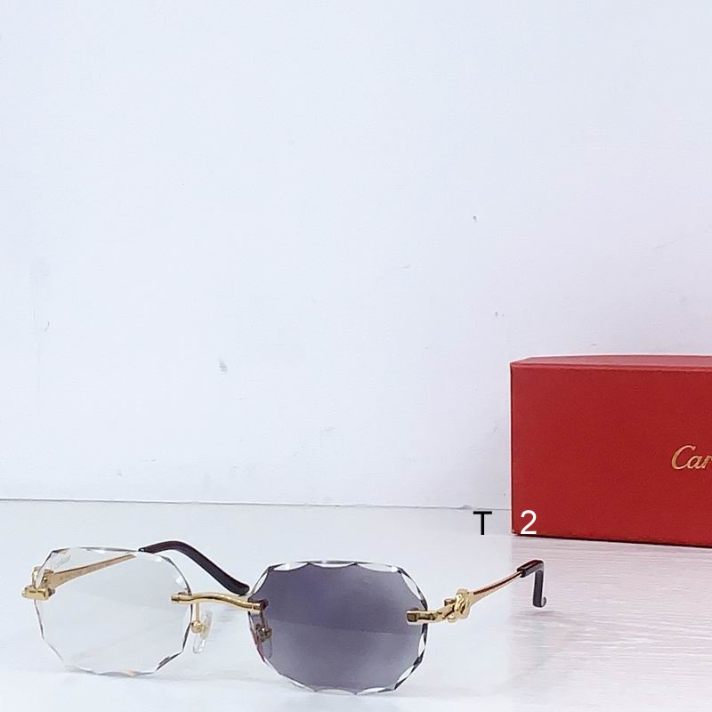 Cartier CT0679S 135 b08
