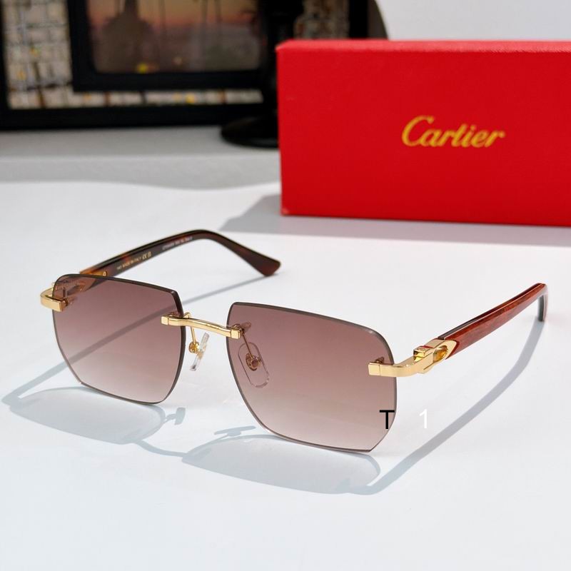 Cartier CT0845S 145 a01