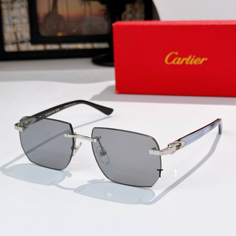 Cartier CT0845S 145 a02