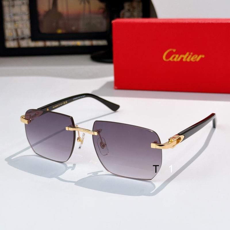 Cartier CT0845S 145 a03