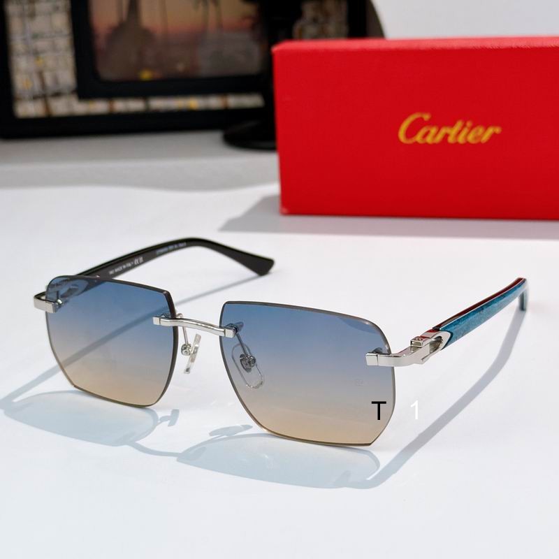Cartier CT0845S 145 a04