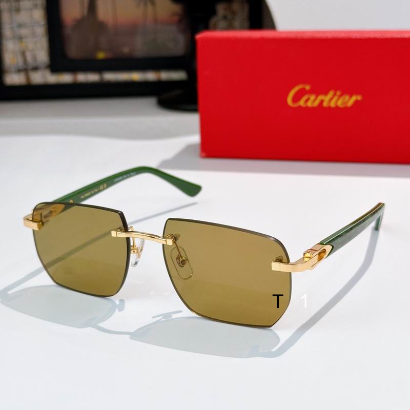 Cartier CT0845S 145 a05