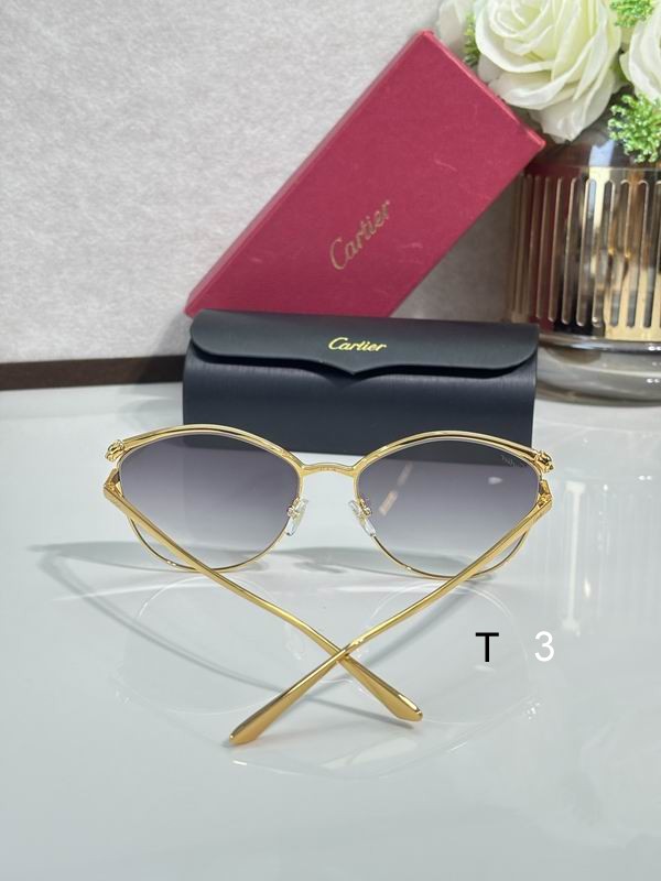 Cartier CT2017S 61 18-145 c09