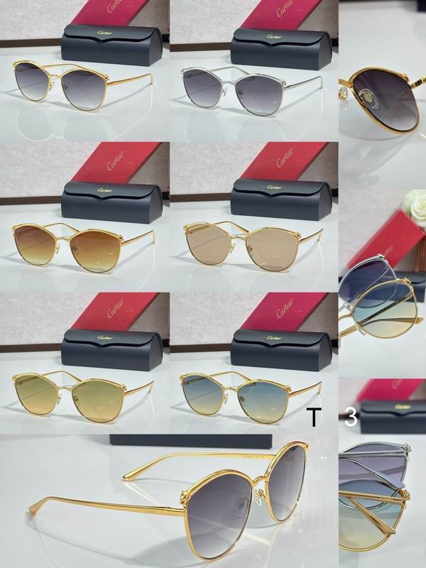 Cartier CT2017S 61 18-145 c10