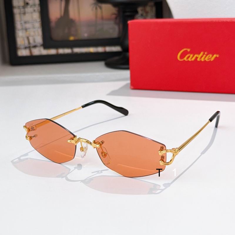 Cartier ESW00796 56 18-145 a01
