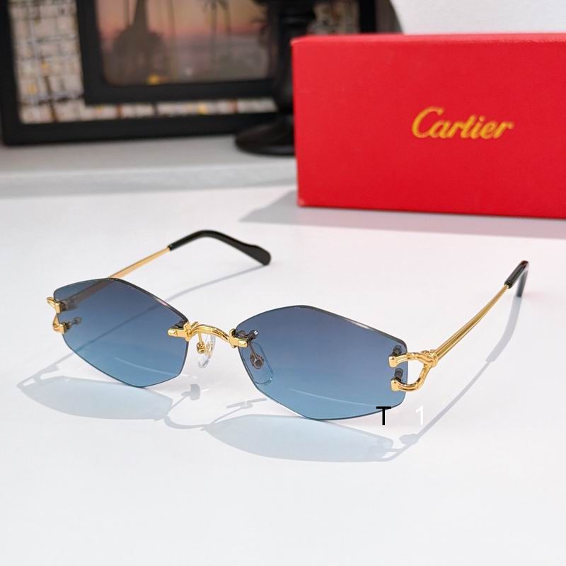 Cartier ESW00796 56 18-145 a04