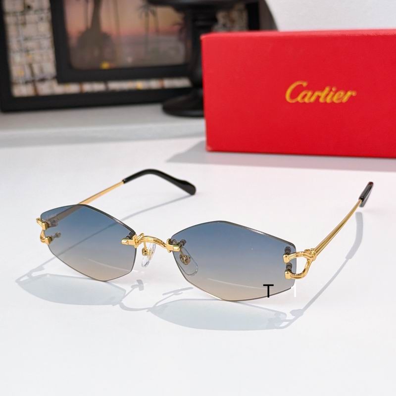 Cartier ESW00796 56 18-145 a05