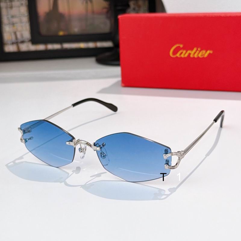 Cartier ESW00796 56 18-145 a07