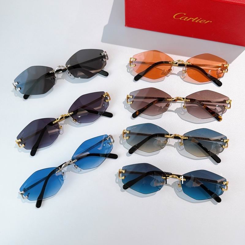 Cartier ESW00796 56 18-145 a09