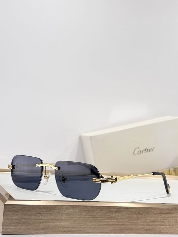 Cartier Glasses smr (1003)
