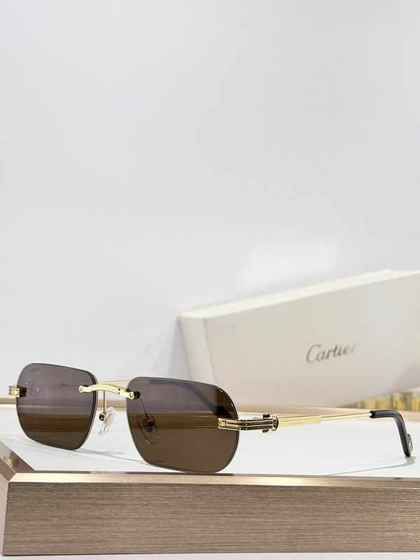 Cartier Glasses smr (1004)