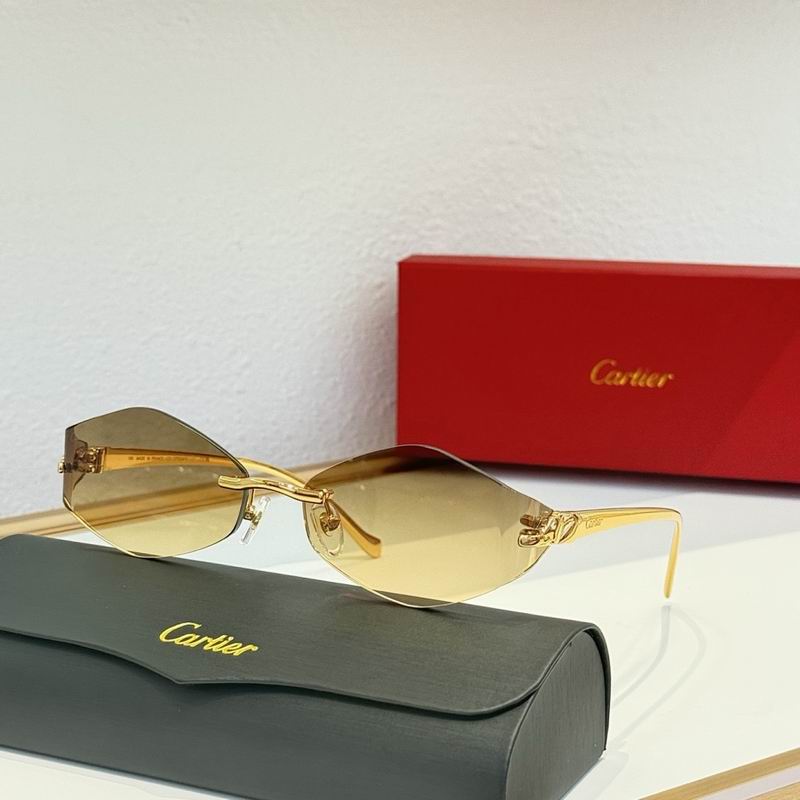 Cartier Glasses smr (101)