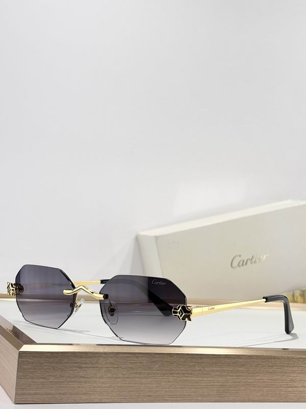 Cartier Glasses smr (1012)