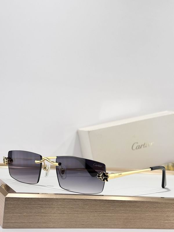Cartier Glasses smr (1020)