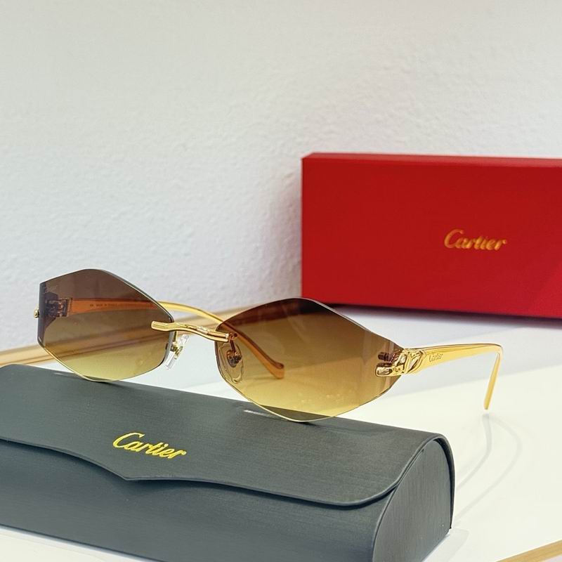Cartier Glasses smr (103)