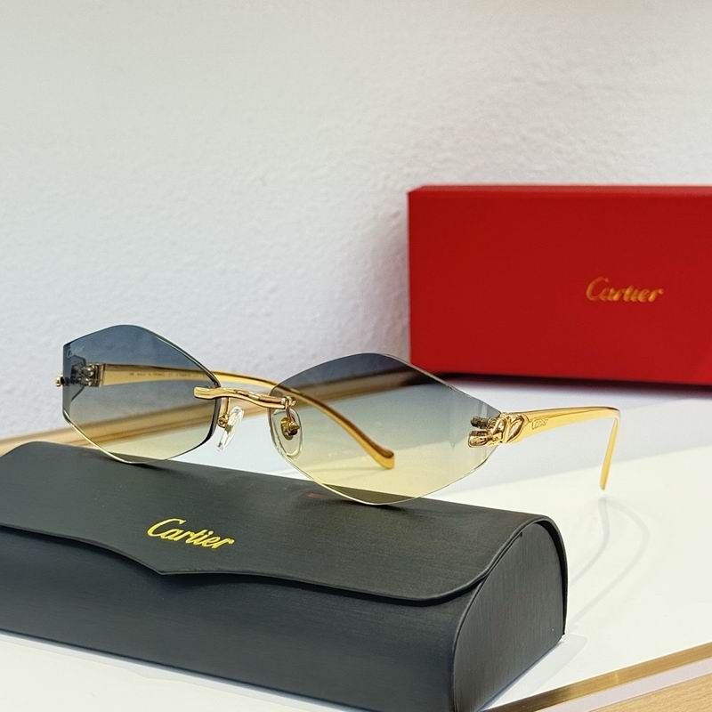 Cartier Glasses smr (104)