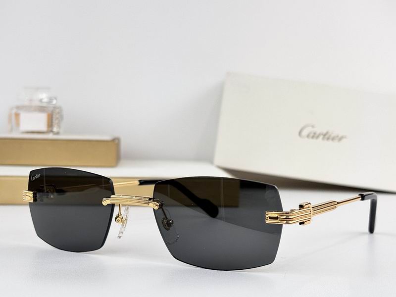 Cartier Glasses smr (1041)