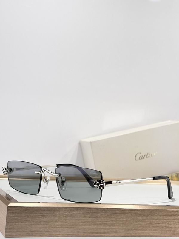 Cartier Glasses smr (1053)