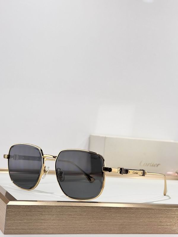 Cartier Glasses smr (1071)