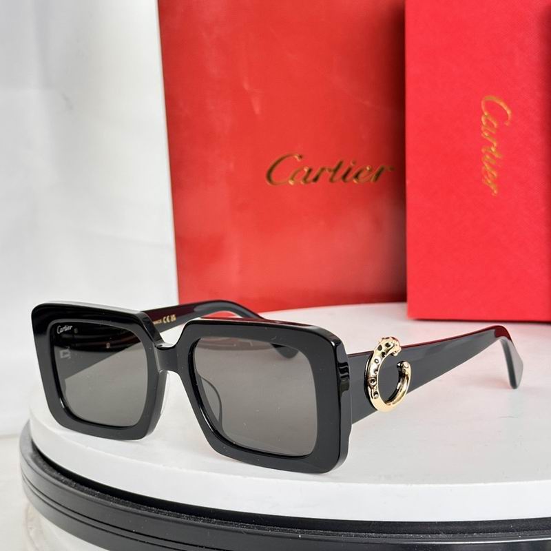 Cartier Glasses smr (1080)