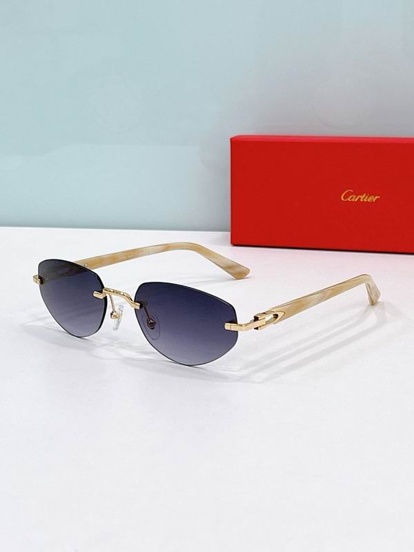 Cartier Glasses smr (1139)