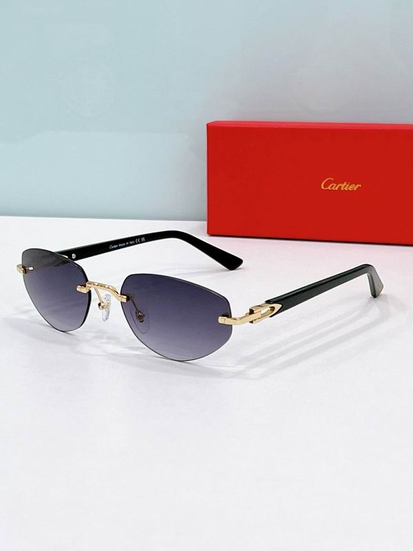 Cartier Glasses smr (1141)