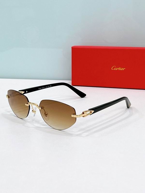 Cartier Glasses smr (1142)