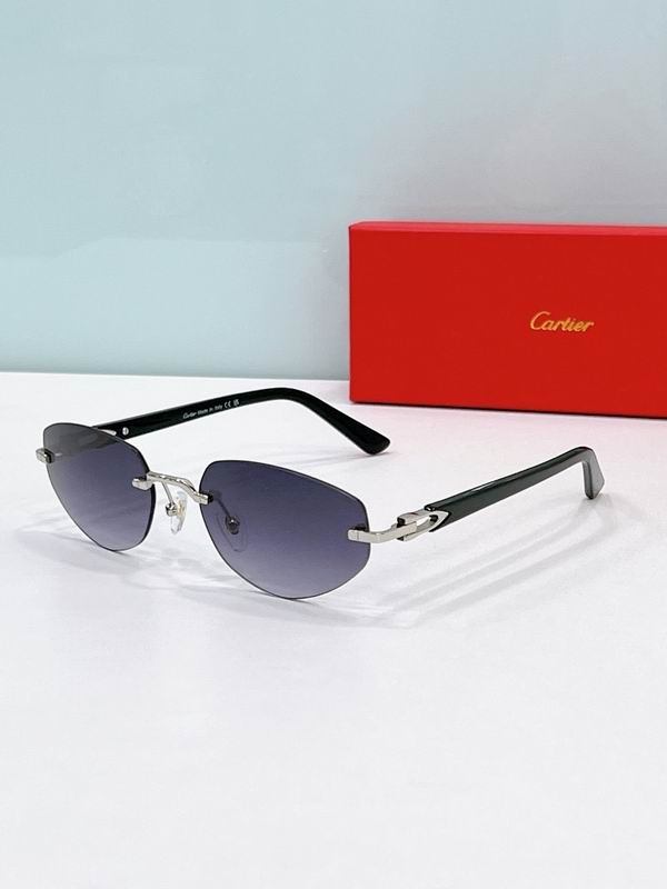 Cartier Glasses smr (1143)