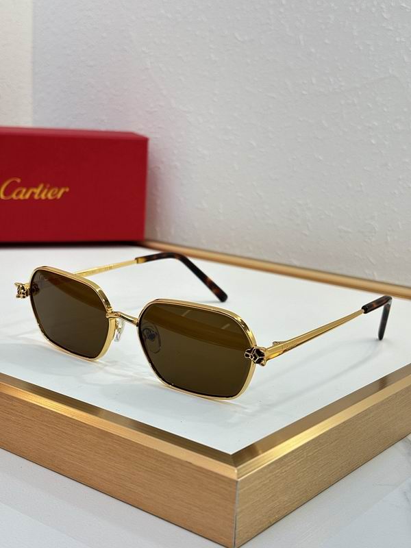 Cartier Glasses smr (115)
