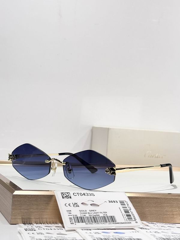 Cartier Glasses smr (1152)