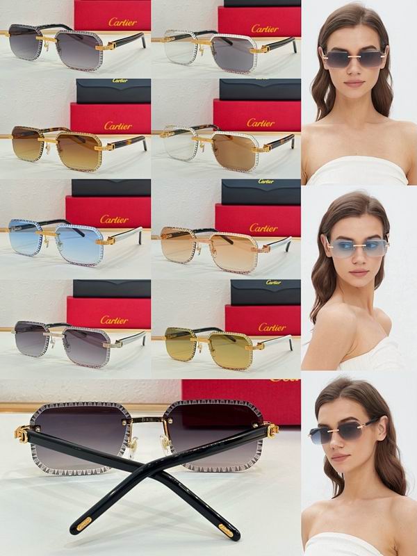 Cartier Glasses smr (119)