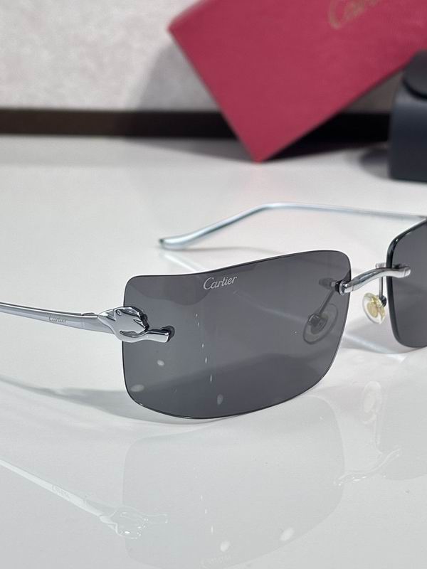 Cartier Glasses smr (1193)