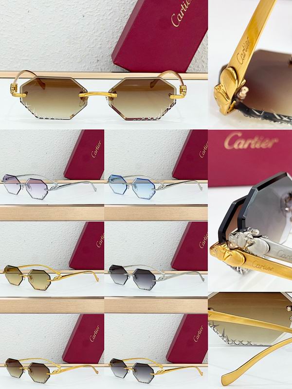 Cartier Glasses smr (12)