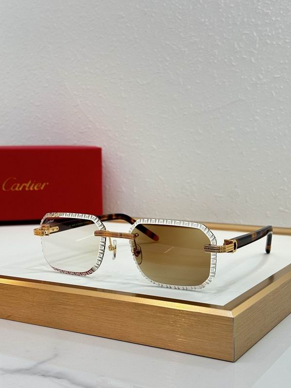 Cartier Glasses smr (121)