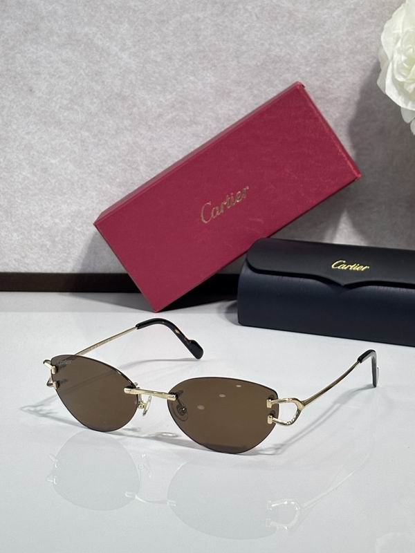 Cartier Glasses smr (1210)