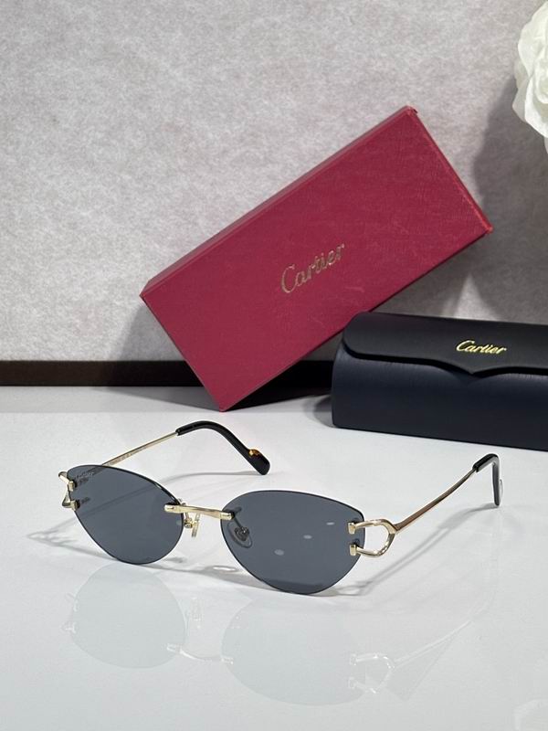 Cartier Glasses smr (1211)