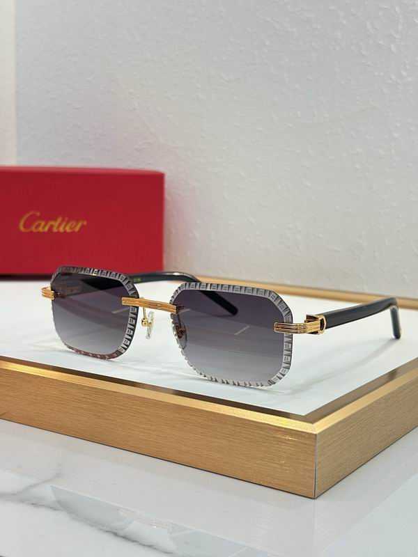 Cartier Glasses smr (124)