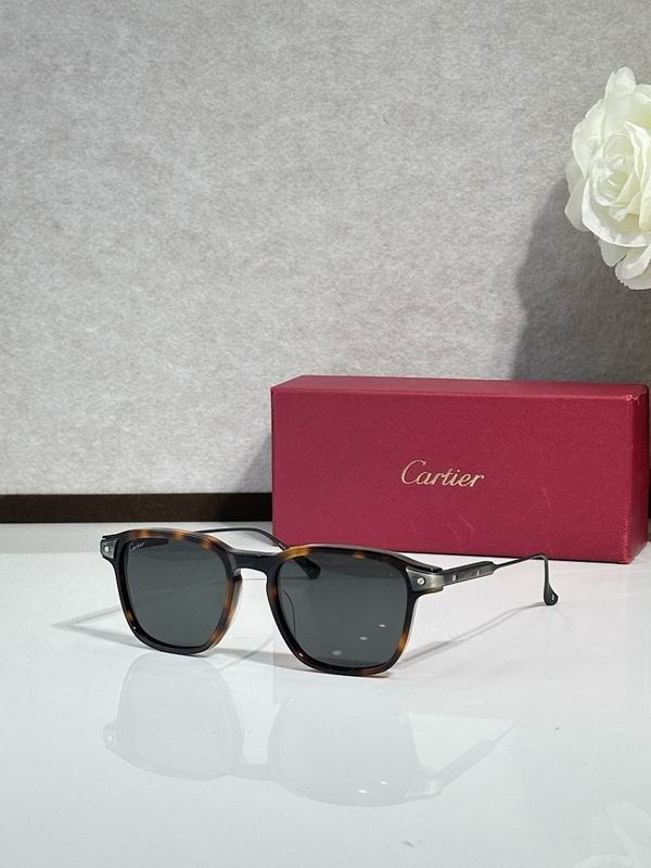 Cartier Glasses smr (1240)