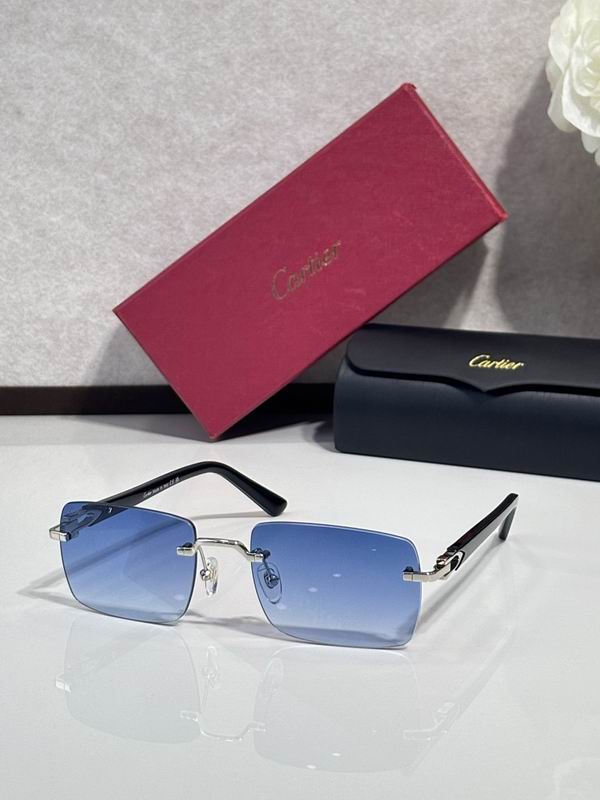 Cartier Glasses smr (1250)