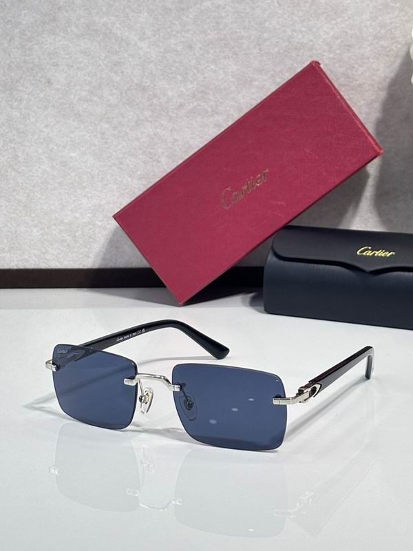 Cartier Glasses smr (1251)