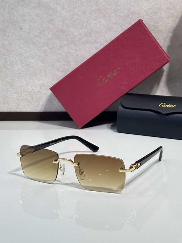 Cartier Glasses smr (1253)