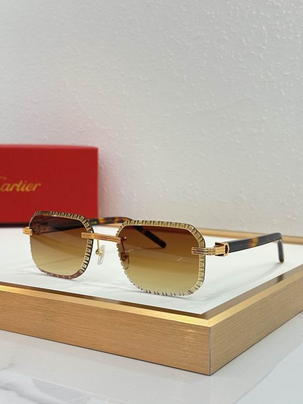 Cartier Glasses smr (126)