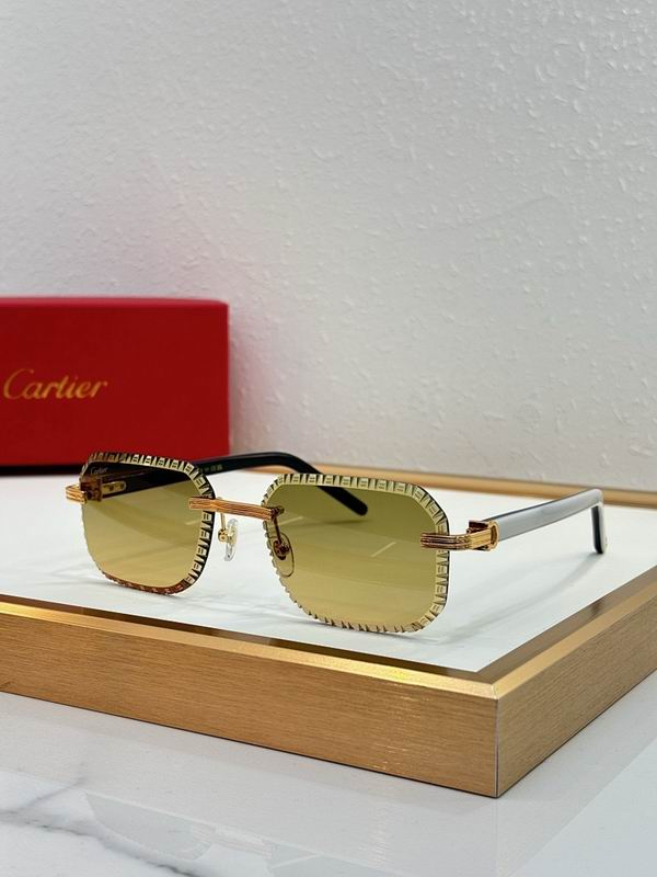 Cartier Glasses smr (127)
