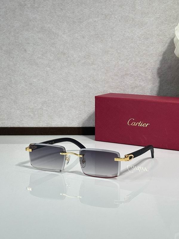 Cartier Glasses smr (1281)