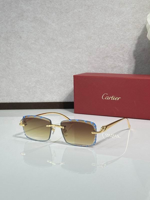 Cartier Glasses smr (1291)