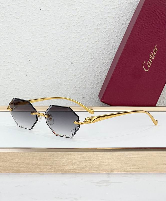 Cartier Glasses smr (13)
