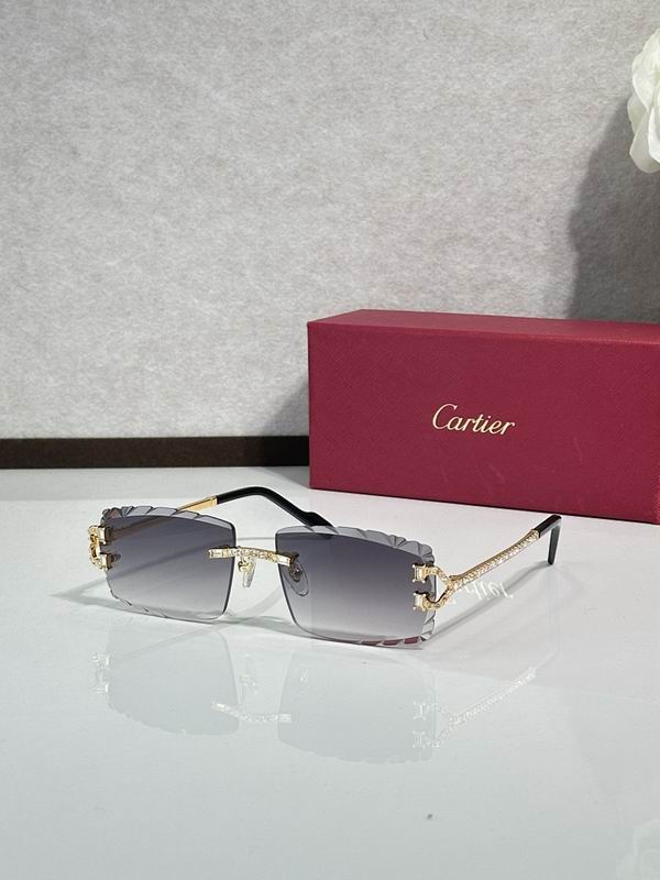 Cartier Glasses smr (1302)